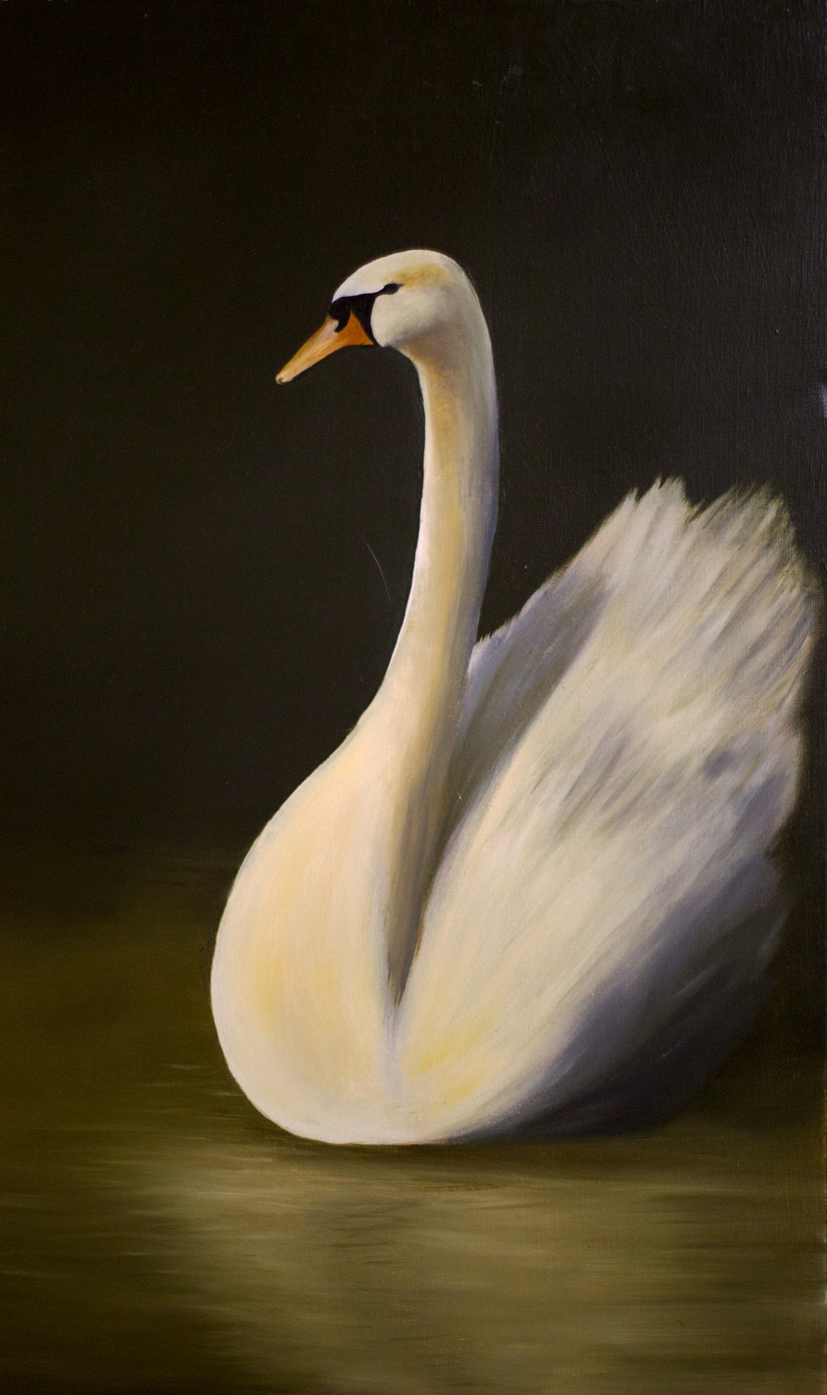 Le Cygne, 2024