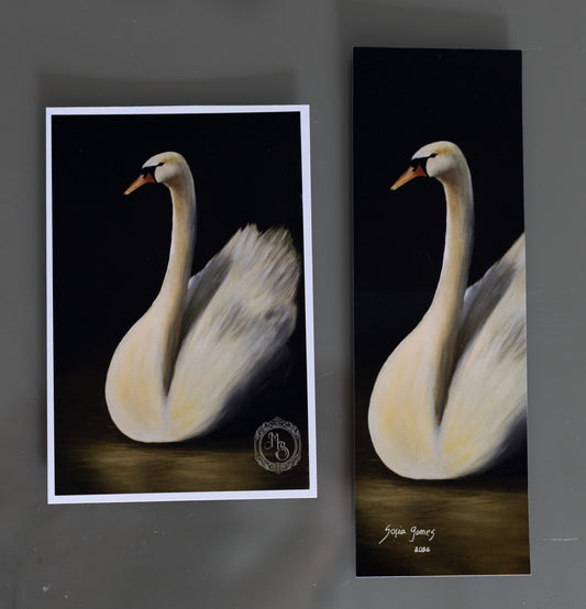 Kit Cartão-postal  e Marca-página